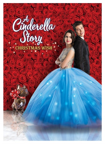 A Cinderella Story: Christmas Wish [DVD]