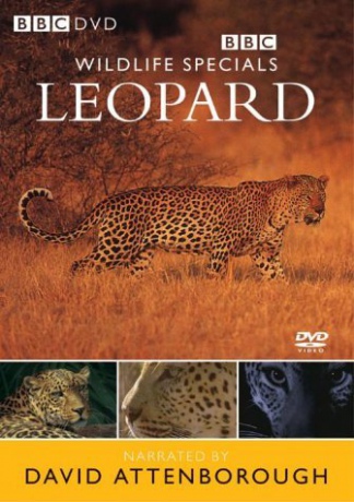 Bbc Wildlife Specials: Leopard [DVD]