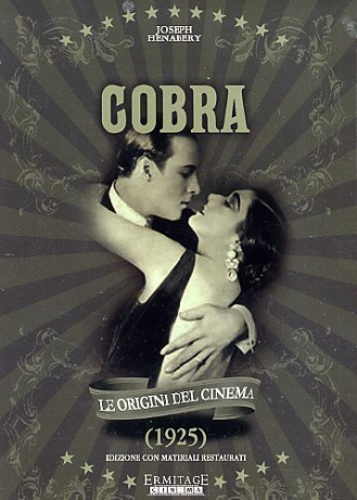 Cobra [DVD]