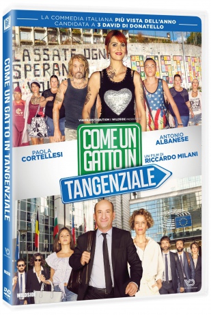 Come Un Gatto In Tangenziale [DVD]