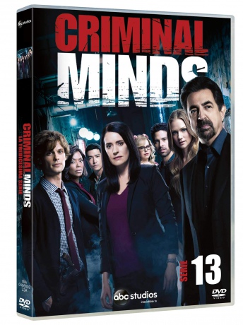 Criminal Minds - Season 13 (Zabójcze umysły - Sezon 13) [5DVD]