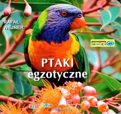 Poznajemy zwierzęta. Ptaki egzotyczne - Rafał Wejner [KSIĄŻKA]