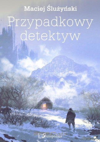 Przypadkowy detektyw - Maciej Ślużyński [KSIĄŻKA]