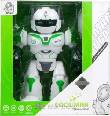 Robot funkcyjny