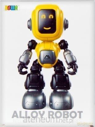 Robot funkcyjny