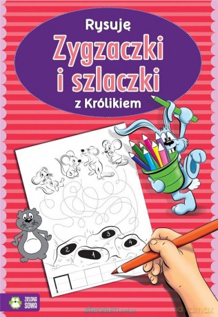 Rysuję zygzaczki i szlaczki z królikiem [KSIĄŻKA]