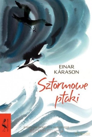 Sztormowe ptaki - Einar Krason [KSIĄŻKA]