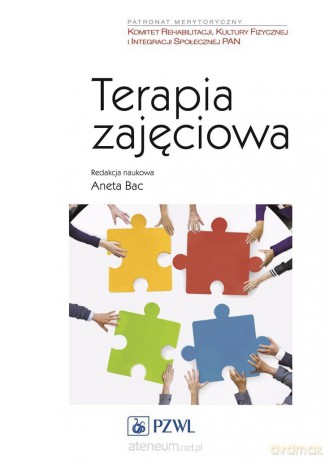 Terapia zajęciowa - Aneta Bac [KSIĄŻKA]