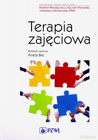 Terapia zajęciowa - Aneta Bac [KSIĄŻKA]