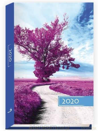 Terminarz 2020 B6 Kolorowy drzewo [KALENDARZ]