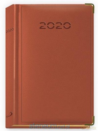 Terminarz 2020 B6 Lux Złocony brązowy [KALENDARZ]