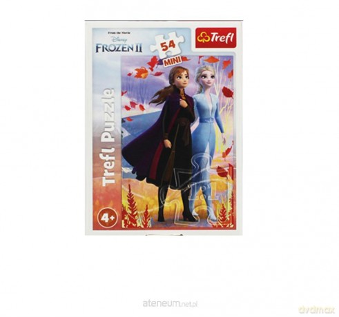 TREFL 54 el. mini W świecie Anny i Elsy 2 [PUZZLE]