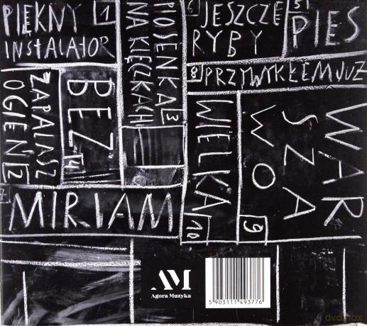 Marek Dyjak: Piękny instalator [CD]