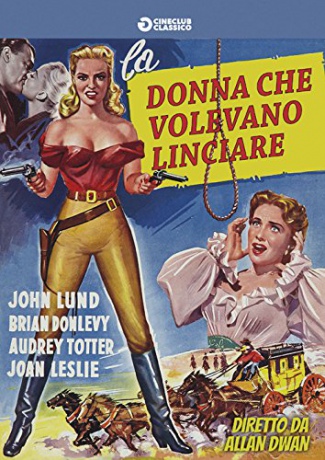Woman They Almost Lynched [DVD]