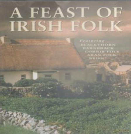 A Feast Of Irish Folk [CD]