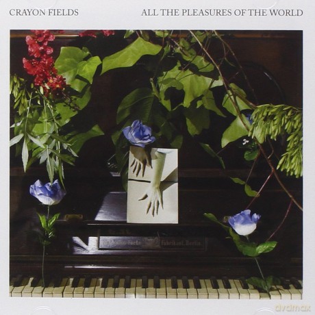 Crayon Fields: All the Pleasures of the World [CD]
