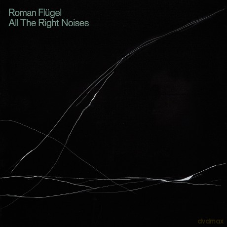 Roman Flugel: All The Right Noises [CD]