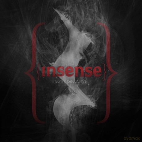 Insense: Burn In Beautiful Fire [Winyl]