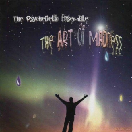 Psychedelic Ensemble: Art of Madness [CD]
