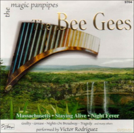 Victor Rodriguez: Bee Gees by Panpipe [CD]