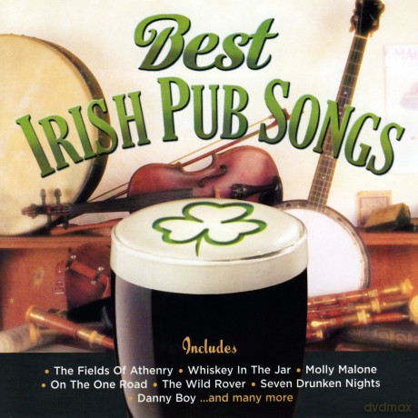 Best Irish Pub Songs [CD]