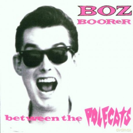 Boz Boorer: Between the Polecats [CD]