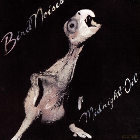 Midnight Oil: Bird Noises [CD]