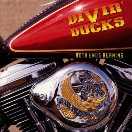 Divin' Ducks: Both Ends Burning [CD]