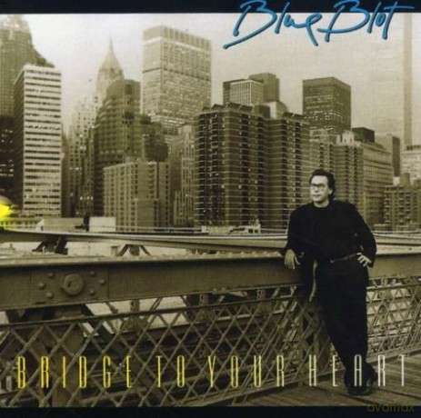 Blue Blot: Bridge to Your Heart [CD]