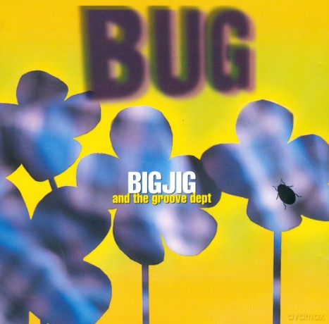 Big Jig: Bug [CD]