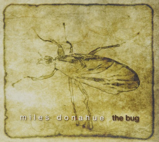 Bug [CD]