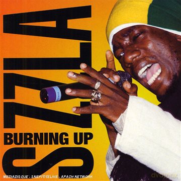 Sizzla: Burning Up [CD]