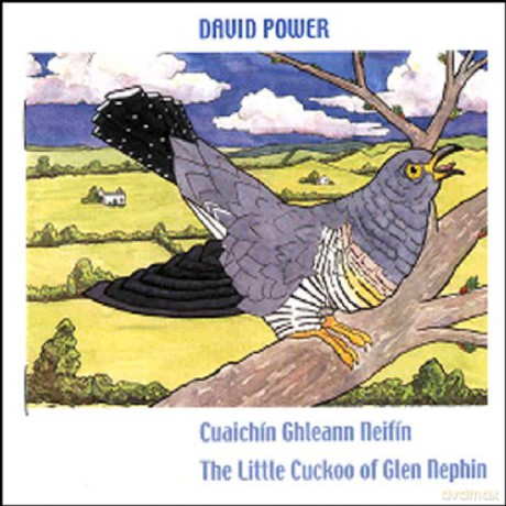 David Power: Cuaichin Ghleann Neifin [CD]