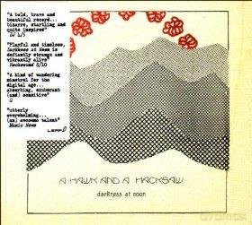 A Hawk And A Hacksaw: Darkness At Noon [CD]