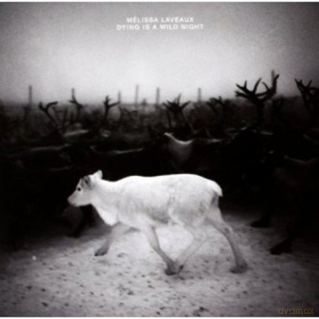 Melissa Laveaux: Dying Is a Wild Night [CD]
