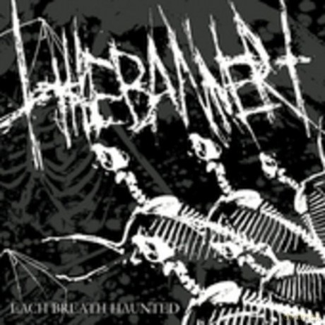 Banner: Each Breath Haunted [CD]