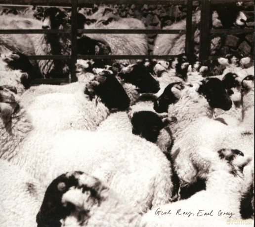 Girl Ray: Earl Grey [CD]