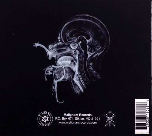 Steel Hook Prostheses: Empirics Guild [CD]