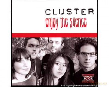 Cluster: Enjoy the Silence [CD]