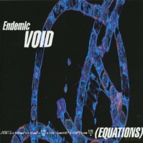 Endemic Void: Equations [CD]