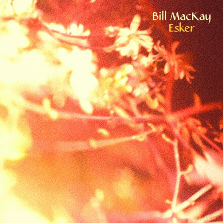 Bill Mackay: Esker [CD]