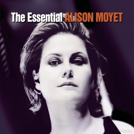 Alison Moyet: Essential Collection [CD]