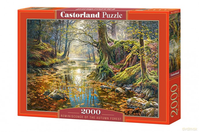 CASTORLAND 2000 el. Wspomnienie z jesiennego lasu [PUZZLE]