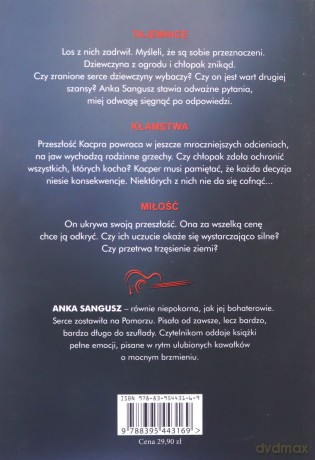 Chłopak znikąd niepokorni - Anka Sangusz [KSIĄŻKA]