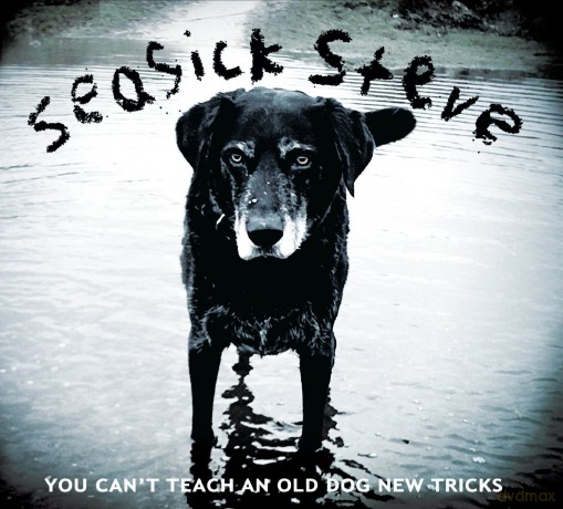 Steve Seasick: You Can´T Teach An Old Dog New Tricks [Winyl]