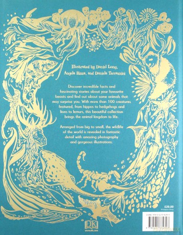An Anthology of Intriguing Ani - Ben Hoare [KSIĄŻKA]