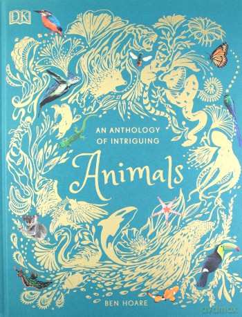 An Anthology of Intriguing Ani - Ben Hoare [KSIĄŻKA]