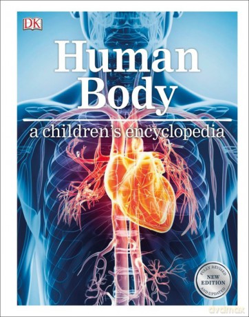 Human Body A Children's Encyclopedia [KSIĄŻKA]