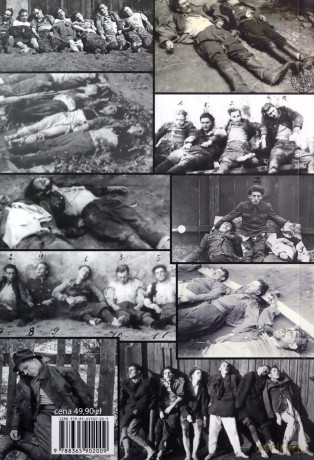 Informator o nielegalnych antypaństwowych organizacjach i bandach zbrojnych działających w Polsce Ludowej w latach 1944-1956 [KSIĄŻKA]