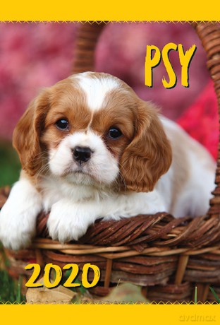 Kalendarz ścienny 2020 Psy [KALENDARZ]